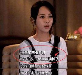 杨紫爆料娱乐圈视频,真实与虚幻的碰撞 第3张 杨紫爆料娱乐圈视频,真实与虚幻的碰撞 第3张